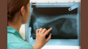 Fallsview Veterinary Clinic