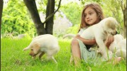 Westbrook Veterinary Clinic