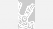 White Raven Law