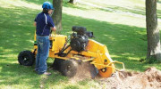 West Coast Tree Service