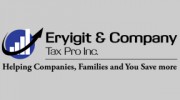 Eryigit and Company Tax Pro