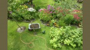 Silverbel Landscaping