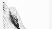 Focus Wealth Management