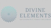 Divine Elements