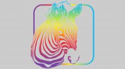Zebra Signs