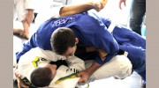 100 Percent Martial Arts